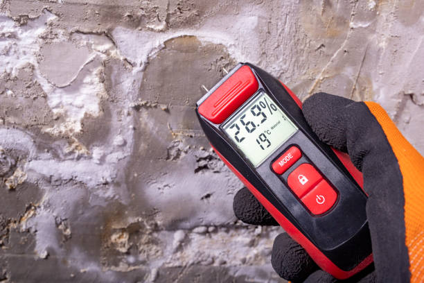 Best Mold Remediation  in Knox, IN